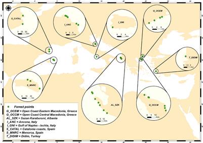 Effects of Natural and Anthropogenic Stressors on Fucalean Brown Seaweeds Across Different Spatial Scales in the Mediterranean Sea